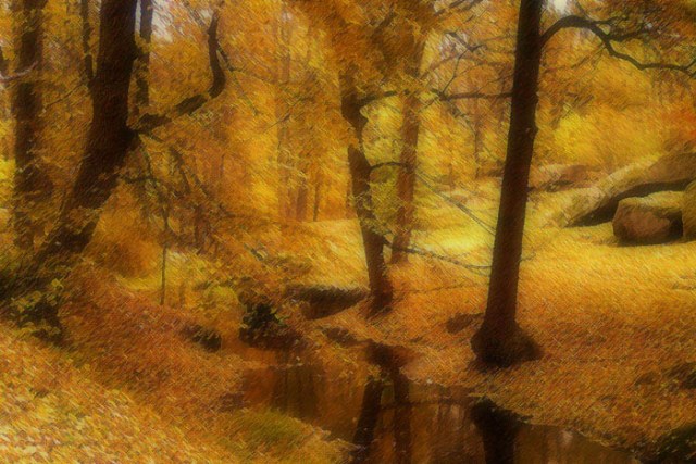 [Image: colour_of_autumn06.jpg]