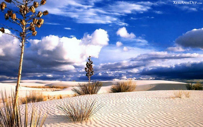 Beautiful desert photos.