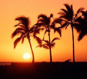 Hawaii photos