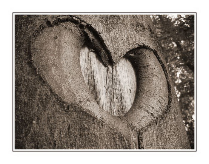 nature-heart pictures
