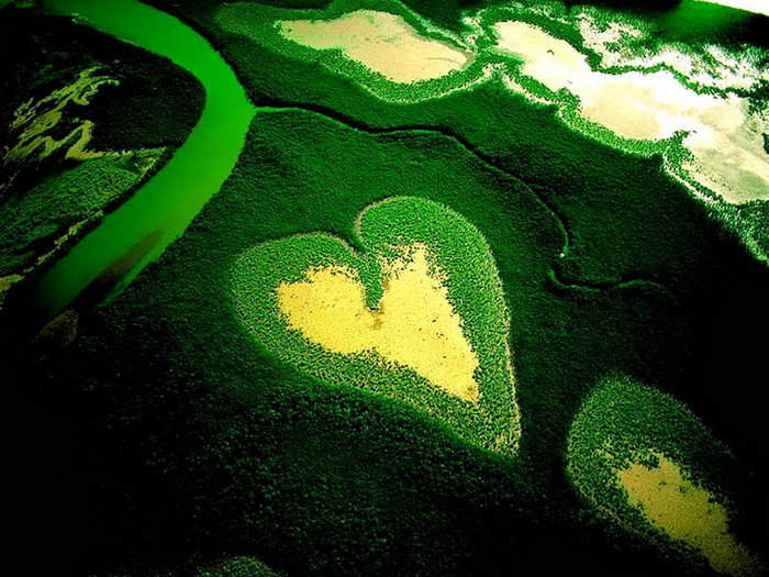  nature-heart pictures