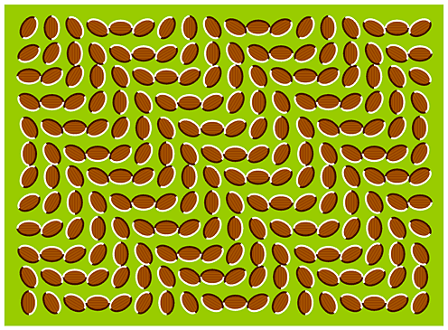 Optical Illusion