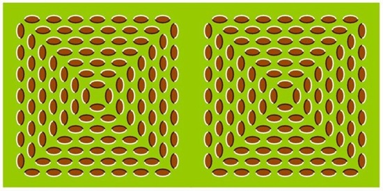 Optical Illusion