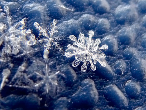 Những bông tuyết lấp lánh như khoảnh khắc kỳ diệu giữa mùa đông. Hãy xem những hình ảnh bông tuyết đẹp và tận hưởng vẻ đẹp tuyệt vời của thiên nhiên trong những giây phút lãng mạn.